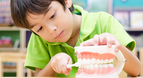 Photo of boy brushing model teeth
